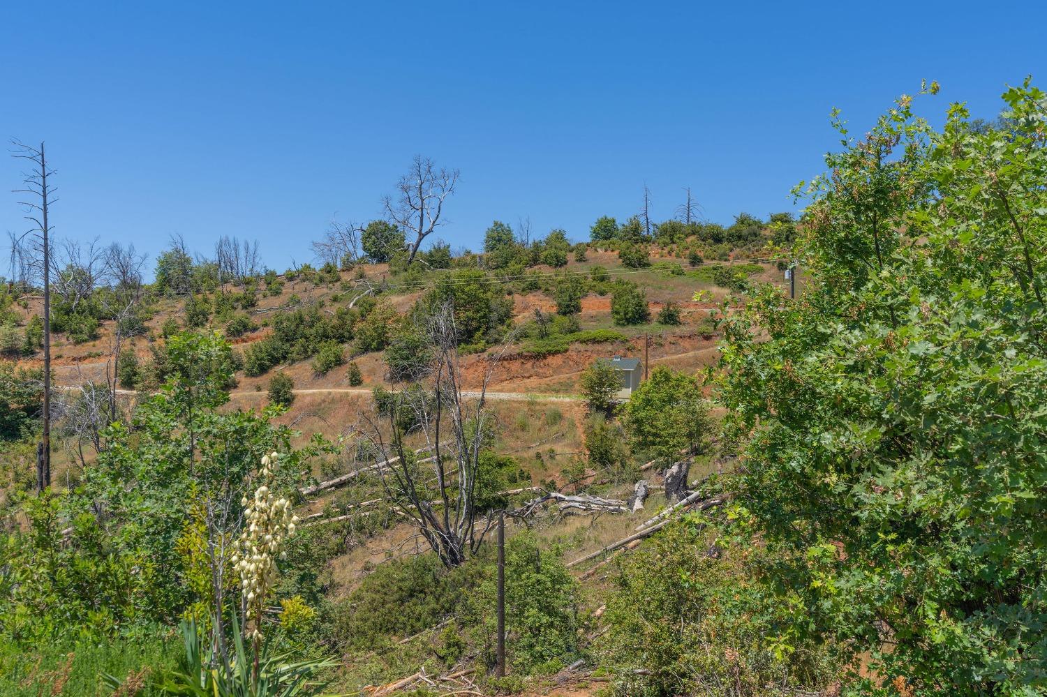 6914 Old Emigrant Trail, Mountain Ranch, California 95246, ,Land,For Sale,Old Emigrant,202300349