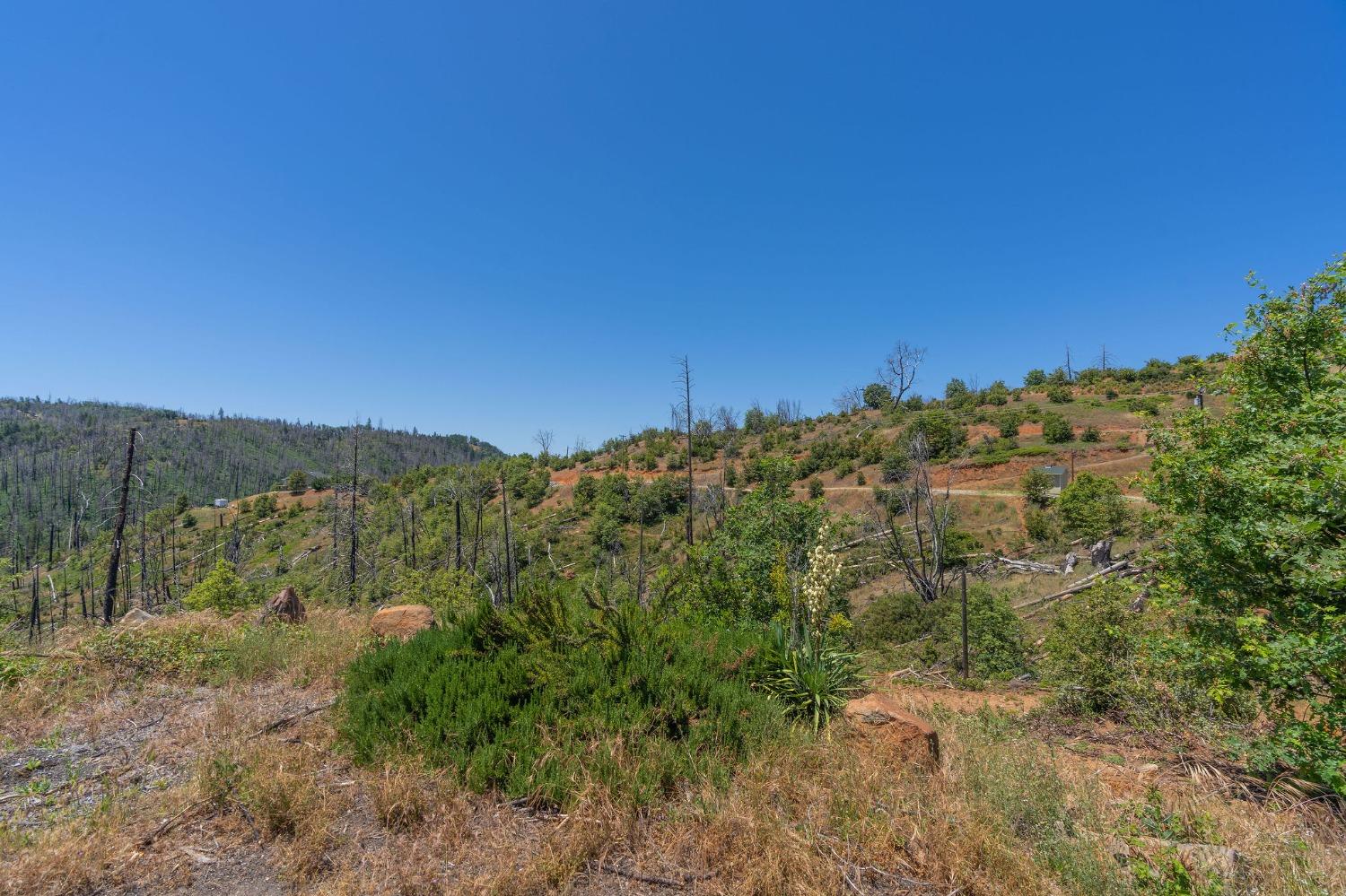 6914 Old Emigrant Trail, Mountain Ranch, California 95246, ,Land,For Sale,Old Emigrant,202300349