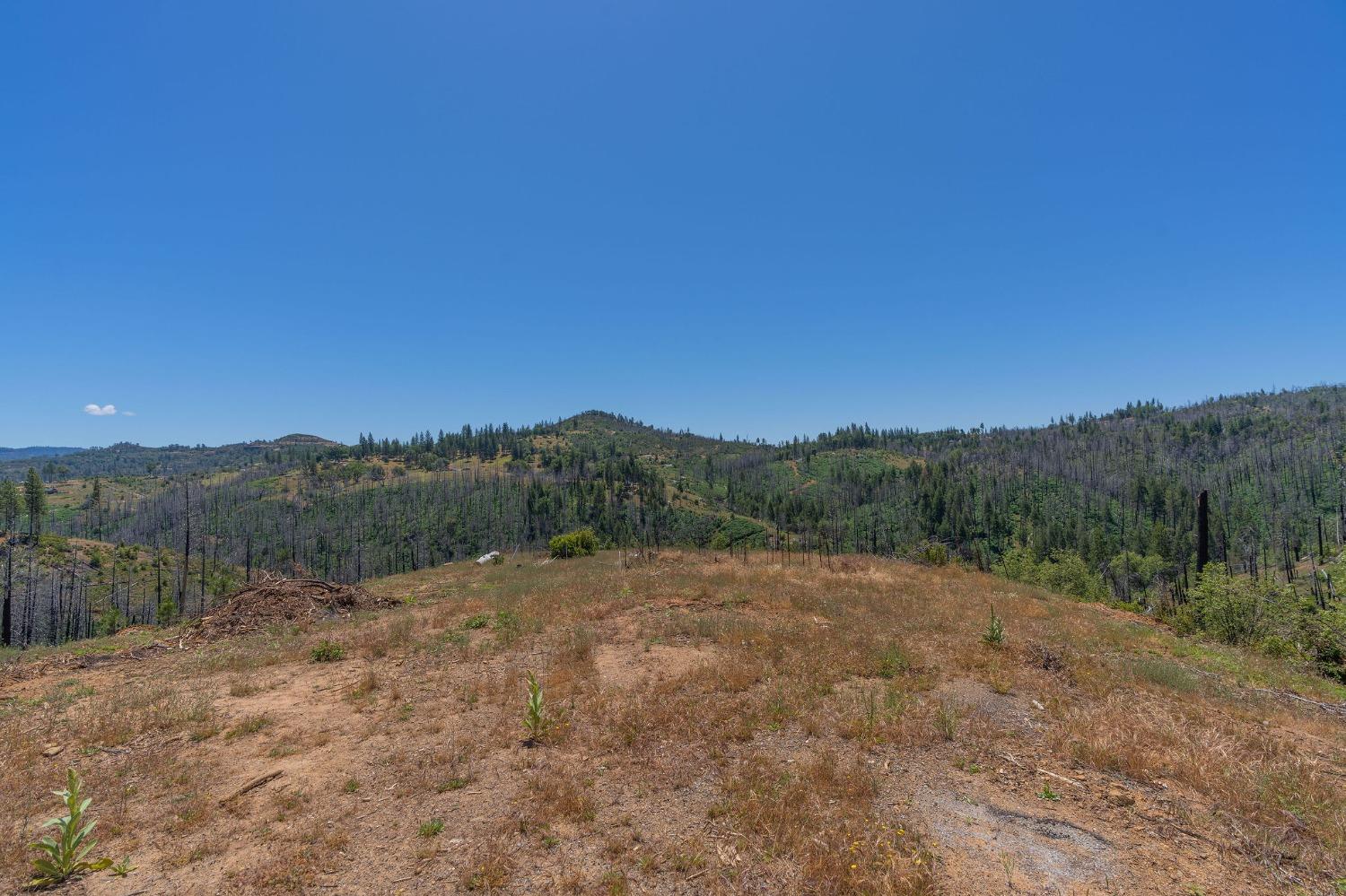 6914 Old Emigrant Trail, Mountain Ranch, California 95246, ,Land,For Sale,Old Emigrant,202300349