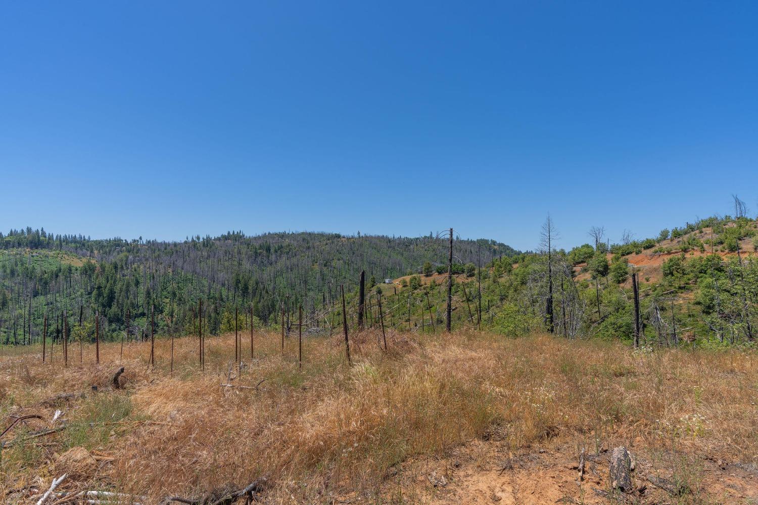 6914 Old Emigrant Trail, Mountain Ranch, California 95246, ,Land,For Sale,Old Emigrant,202300349