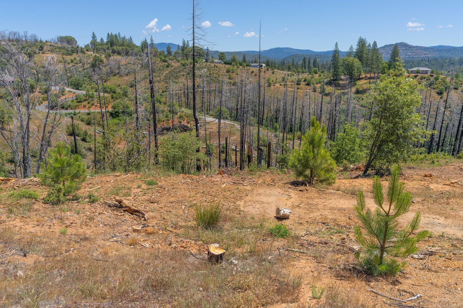 6914 Old Emigrant Trail, Mountain Ranch, California 95246, ,Land,For Sale,Old Emigrant,202300349