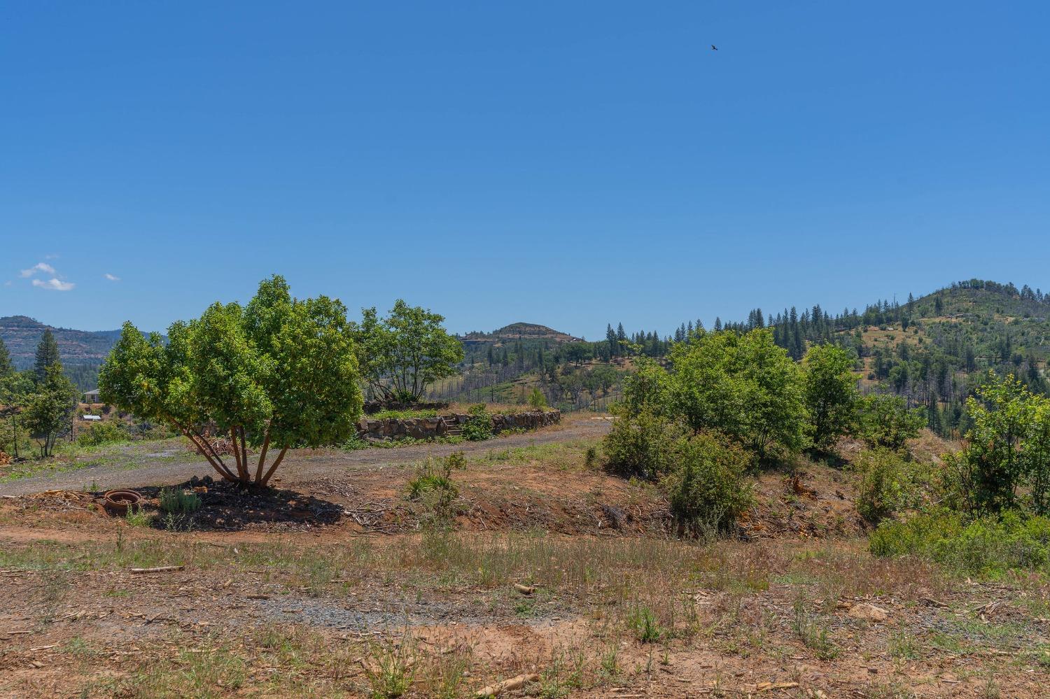 6914 Old Emigrant Trail, Mountain Ranch, California 95246, ,Land,For Sale,Old Emigrant,202300349