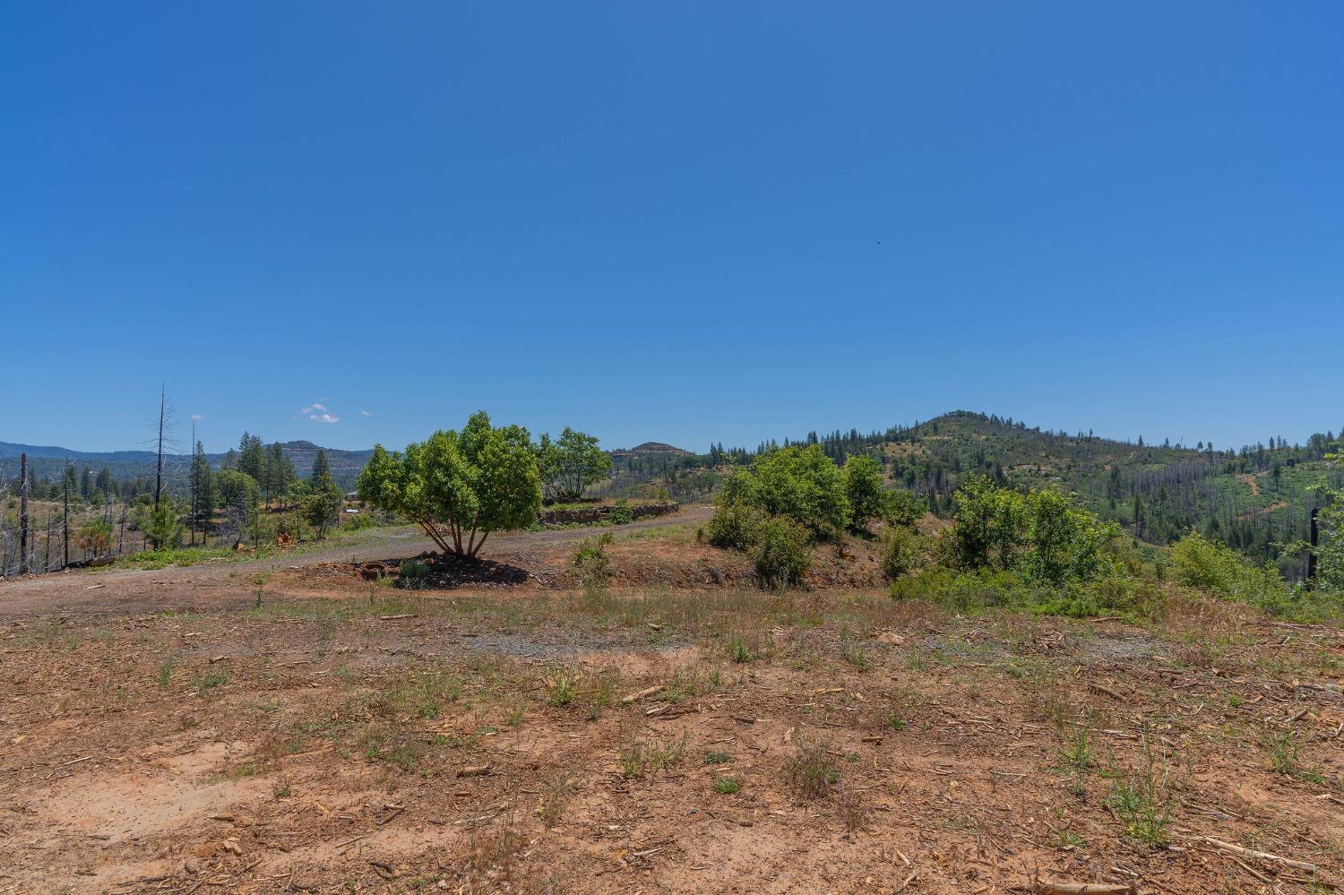 6914 Old Emigrant Trail, Mountain Ranch, California 95246, ,Land,For Sale,Old Emigrant,202300349