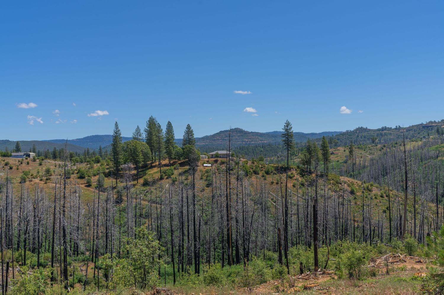 6914 Old Emigrant Trail, Mountain Ranch, California 95246, ,Land,For Sale,Old Emigrant,202300349