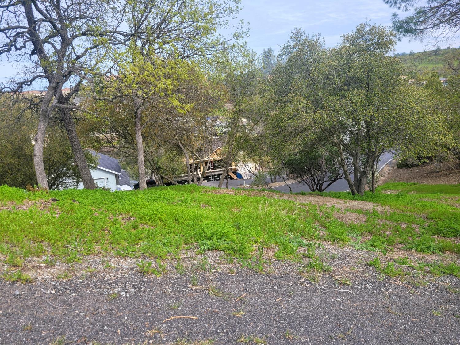 209 Oakhurst Court, Copperopolis, California 95228, ,Land,For Sale,Oakhurst,202300362