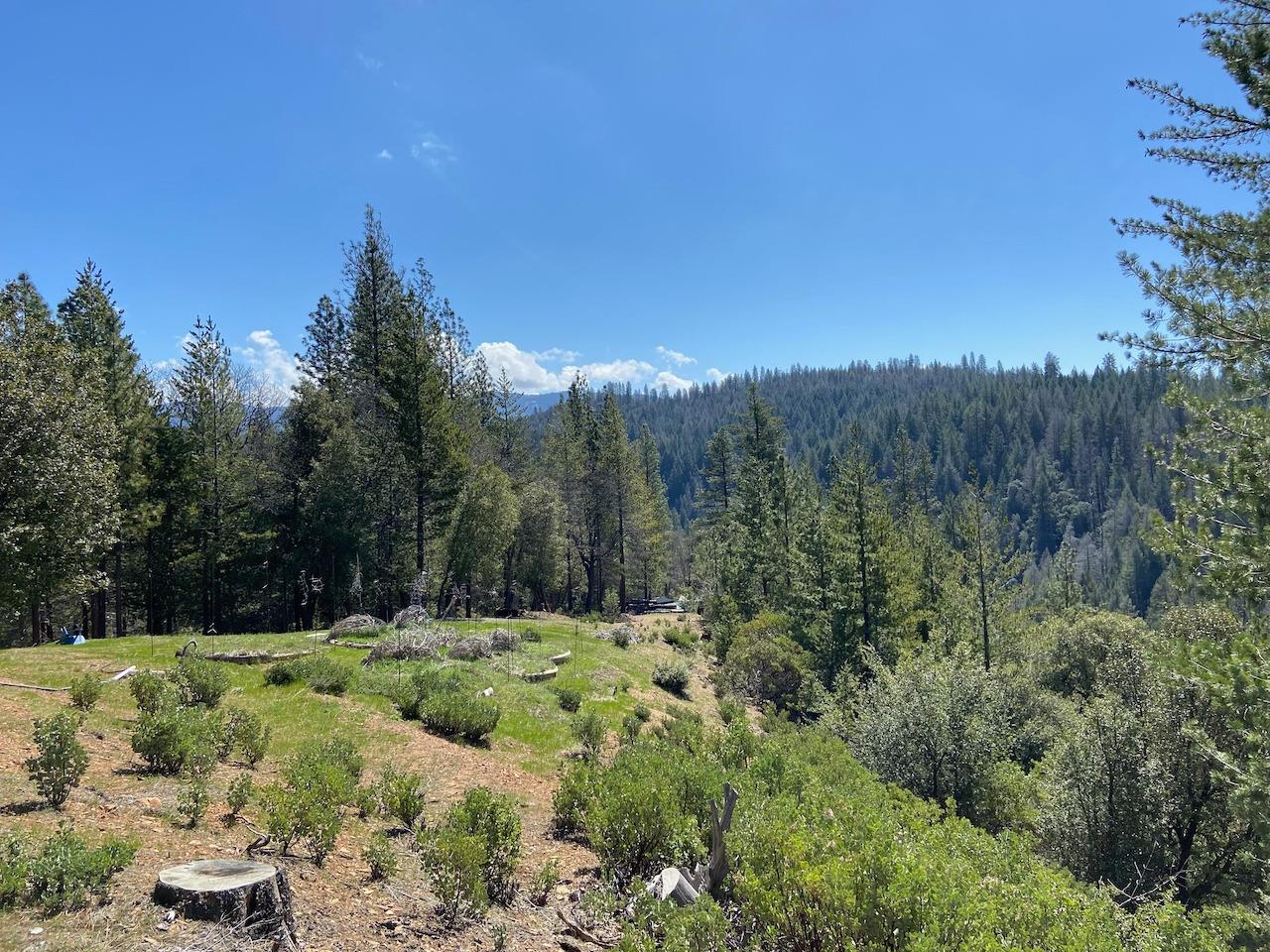 5063 Moore Road, Wilseyville, California 95248, ,Land,For Sale,Moore,202300398