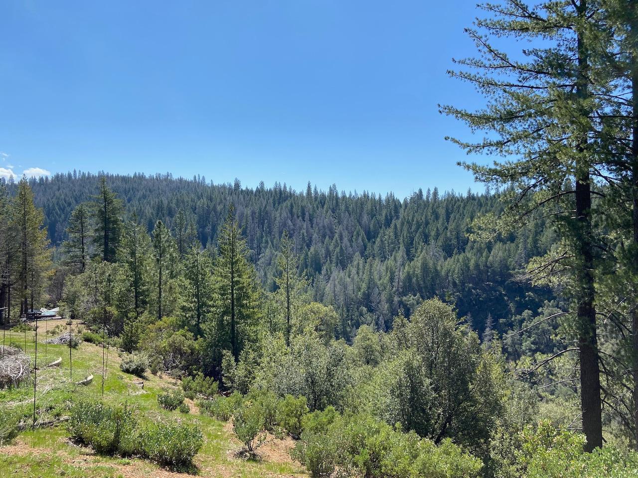 5063 Moore Road, Wilseyville, California 95248, ,Land,For Sale,Moore,202300398