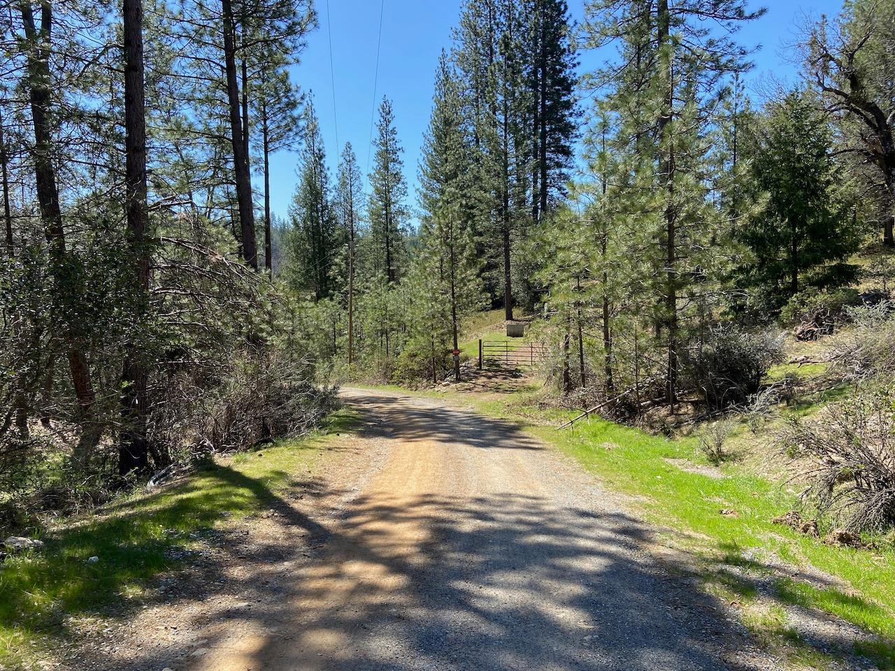 5063 Moore Road, Wilseyville, California 95248, ,Land,For Sale,Moore,202300398