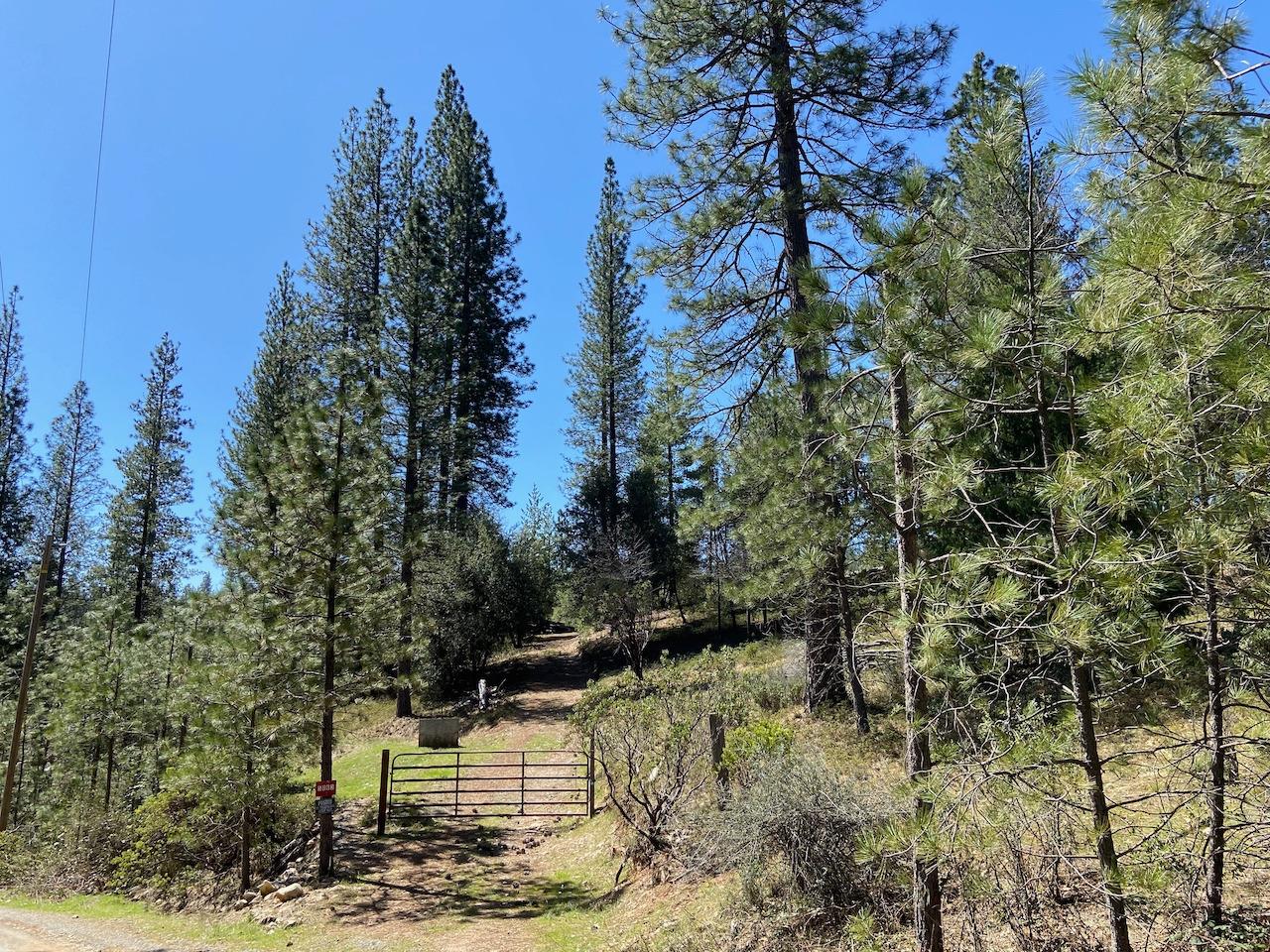 5063 Moore Road, Wilseyville, California 95248, ,Land,For Sale,Moore,202300398