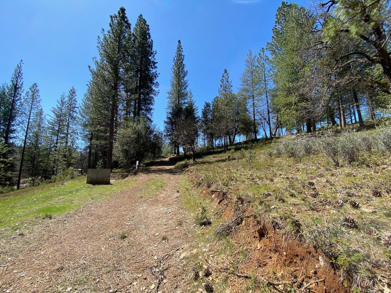 5063 Moore Road, Wilseyville, California 95248, ,Land,For Sale,Moore,202300398