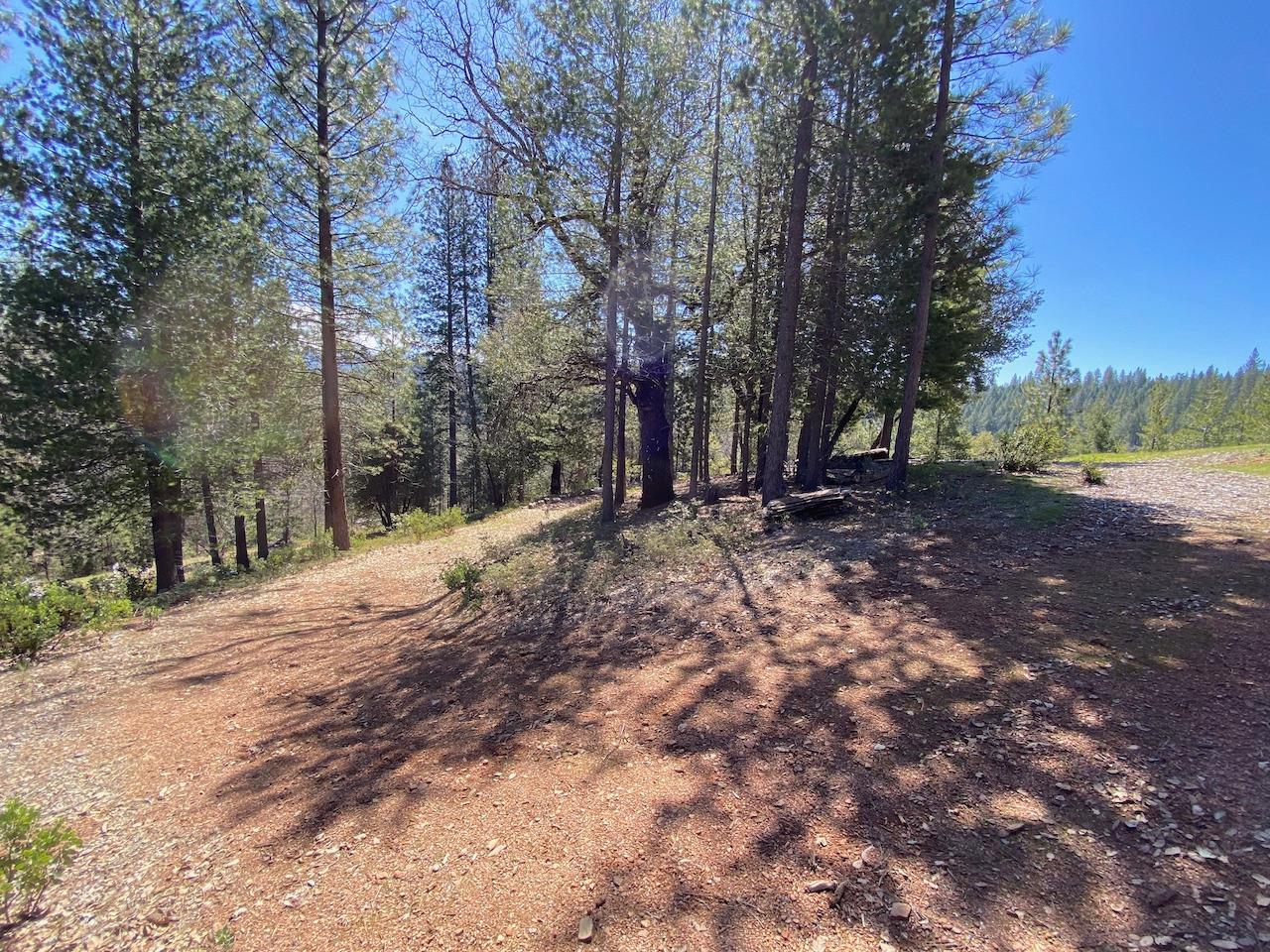 5063 Moore Road, Wilseyville, California 95248, ,Land,For Sale,Moore,202300398