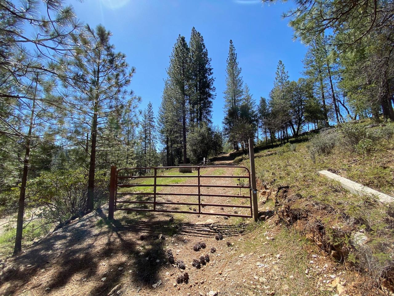 5063 Moore Road, Wilseyville, California 95248, ,Land,For Sale,Moore,202300398