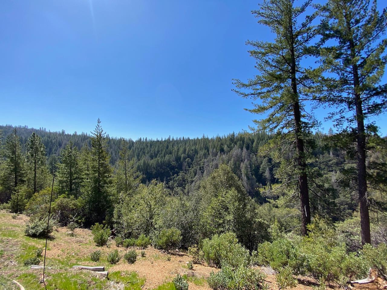 5063 Moore Road, Wilseyville, California 95248, ,Land,For Sale,Moore,202300398