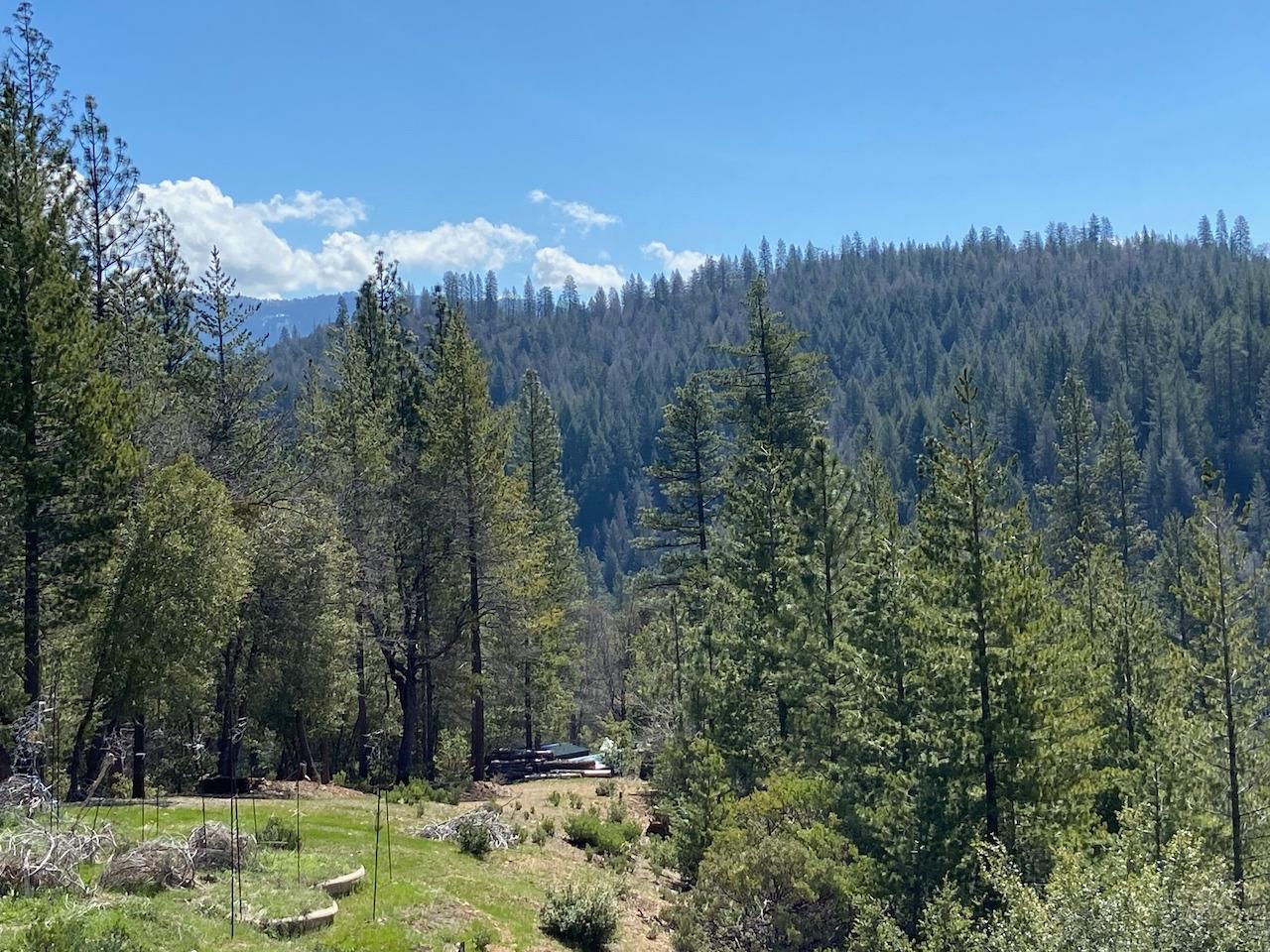 5063 Moore Road, Wilseyville, California 95248, ,Land,For Sale,Moore,202300398