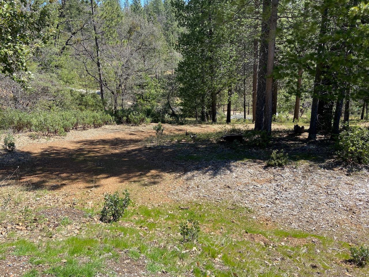 5063 Moore Road, Wilseyville, California 95248, ,Land,For Sale,Moore,202300398