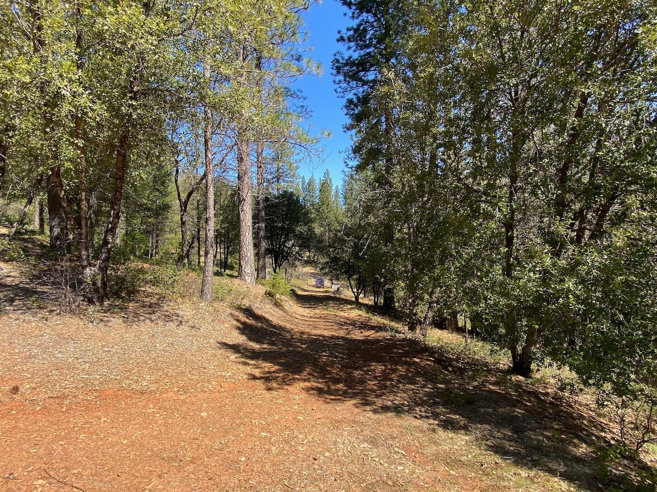 5063 Moore Road, Wilseyville, California 95248, ,Land,For Sale,Moore,202300398