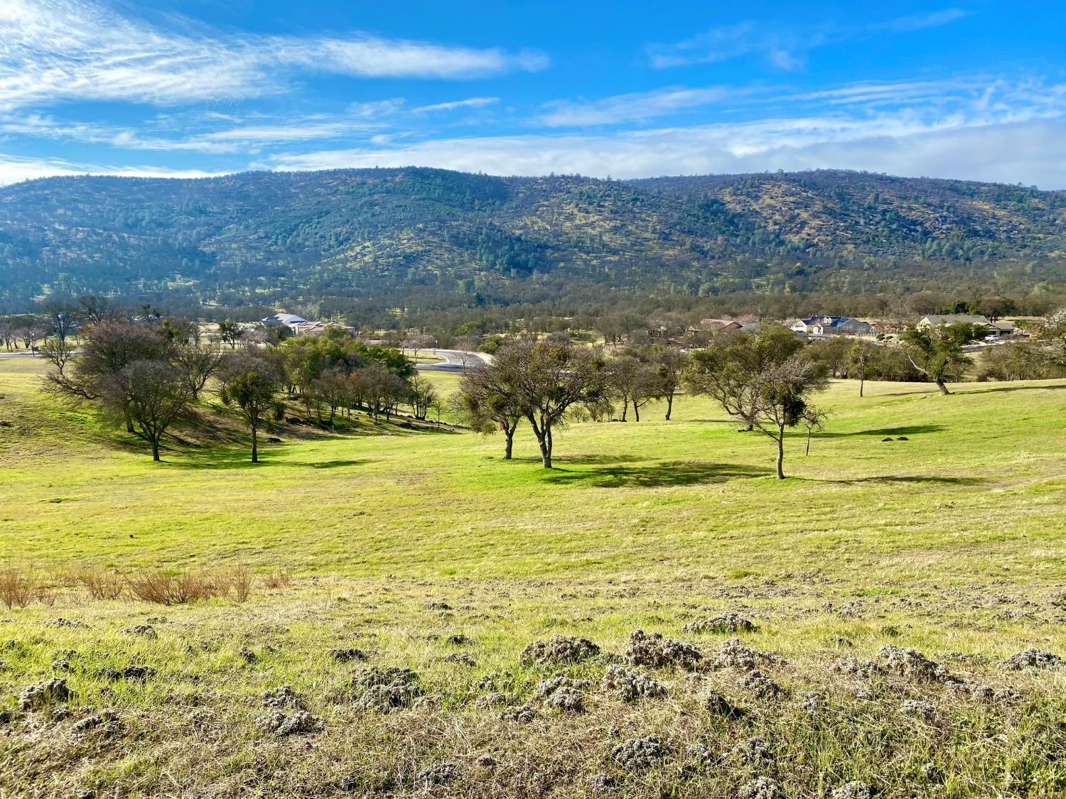 180 Hawkridge Road, Copperopolis, California 95228, ,Land,For Sale,Hawkridge,202300479