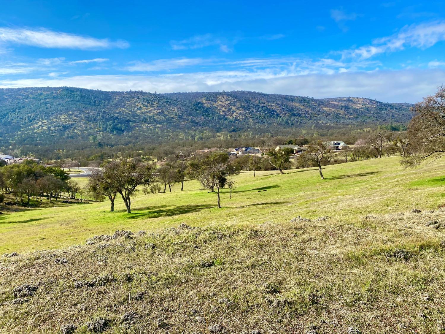 180 Hawkridge Road, Copperopolis, California 95228, ,Land,For Sale,Hawkridge,202300479