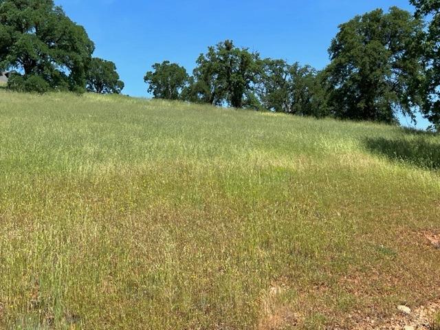 1066 Cheyenne Road, Copperopolis, California 95228, ,Land,For Sale,Cheyenne,202300489