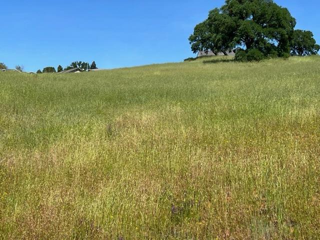 1066 Cheyenne Road, Copperopolis, California 95228, ,Land,For Sale,Cheyenne,202300489