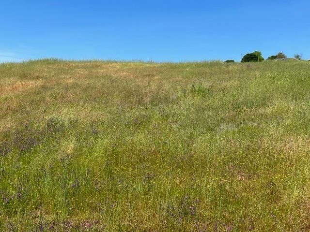 1066 Cheyenne Road, Copperopolis, California 95228, ,Land,For Sale,Cheyenne,202300489