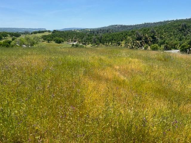 1066 Cheyenne Road, Copperopolis, California 95228, ,Land,For Sale,Cheyenne,202300489