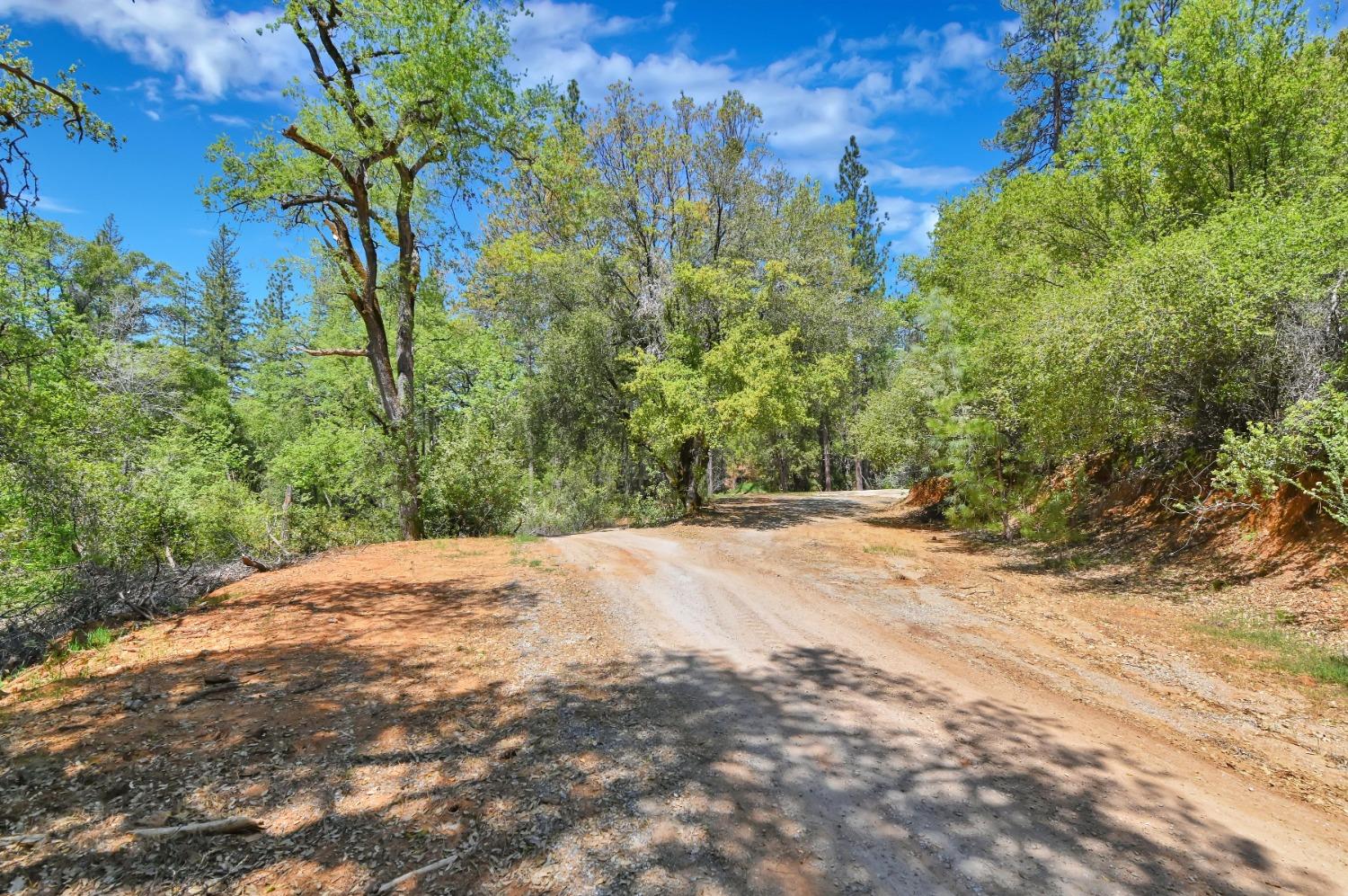 12037 Armstrong Road, Sheep Ranch, California 95246, ,Land,For Sale,Armstrong,202300499