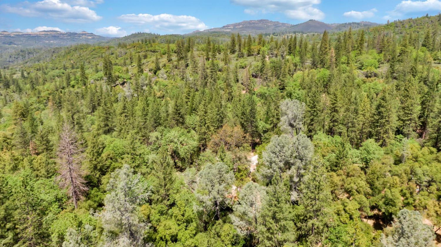 12037 Armstrong Road, Sheep Ranch, California 95246, ,Land,For Sale,Armstrong,202300499