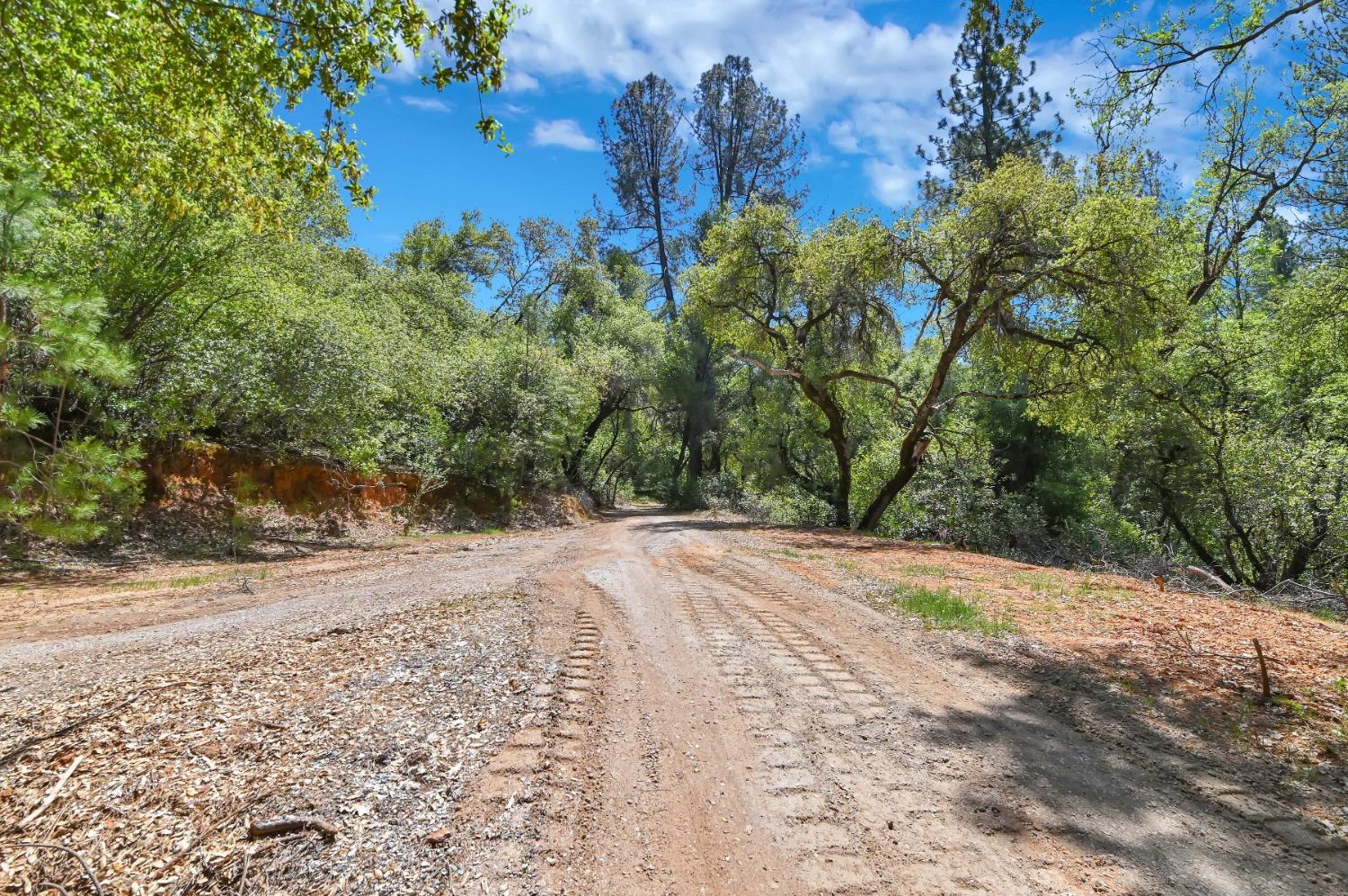 12037 Armstrong Road, Sheep Ranch, California 95246, ,Land,For Sale,Armstrong,202300499