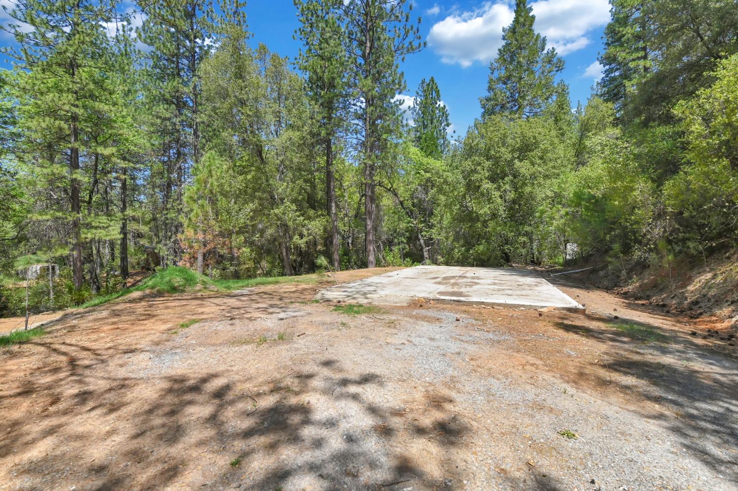 12037 Armstrong Road, Sheep Ranch, California 95246, ,Land,For Sale,Armstrong,202300499