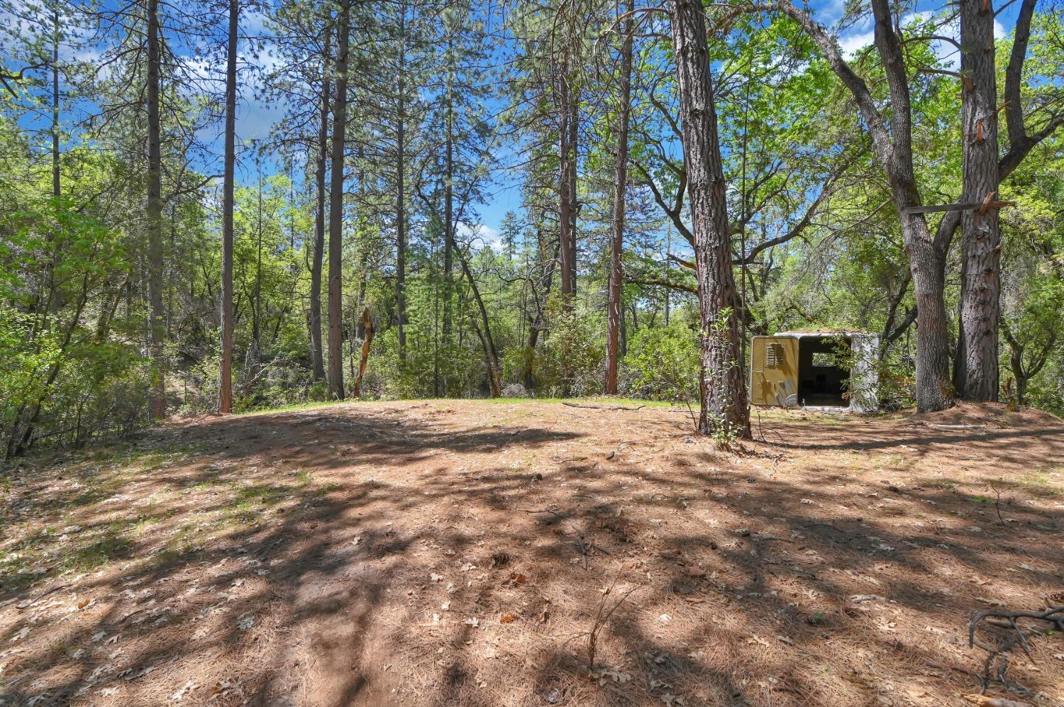 12037 Armstrong Road, Sheep Ranch, California 95246, ,Land,For Sale,Armstrong,202300499