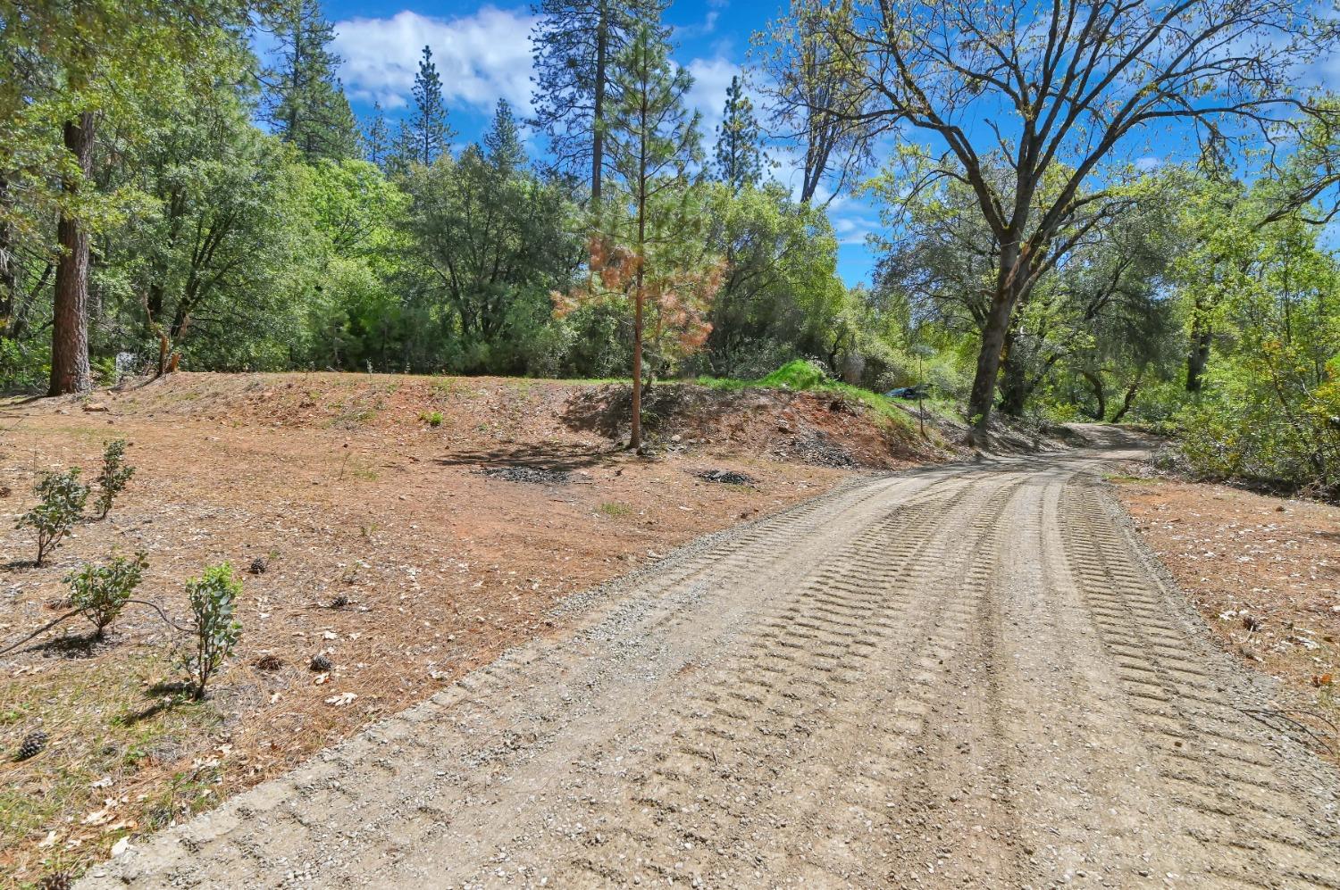 12037 Armstrong Road, Sheep Ranch, California 95246, ,Land,For Sale,Armstrong,202300499