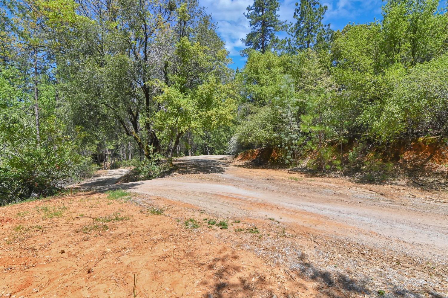 12037 Armstrong Road, Sheep Ranch, California 95246, ,Land,For Sale,Armstrong,202300499