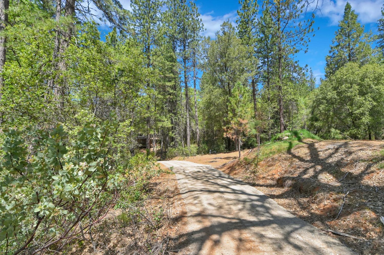 12037 Armstrong Road, Sheep Ranch, California 95246, ,Land,For Sale,Armstrong,202300499