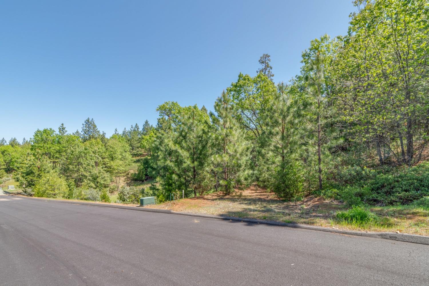 212 Red Apple Drive, Murphys, California 95247, ,Land,For Sale,Red Apple,202300532