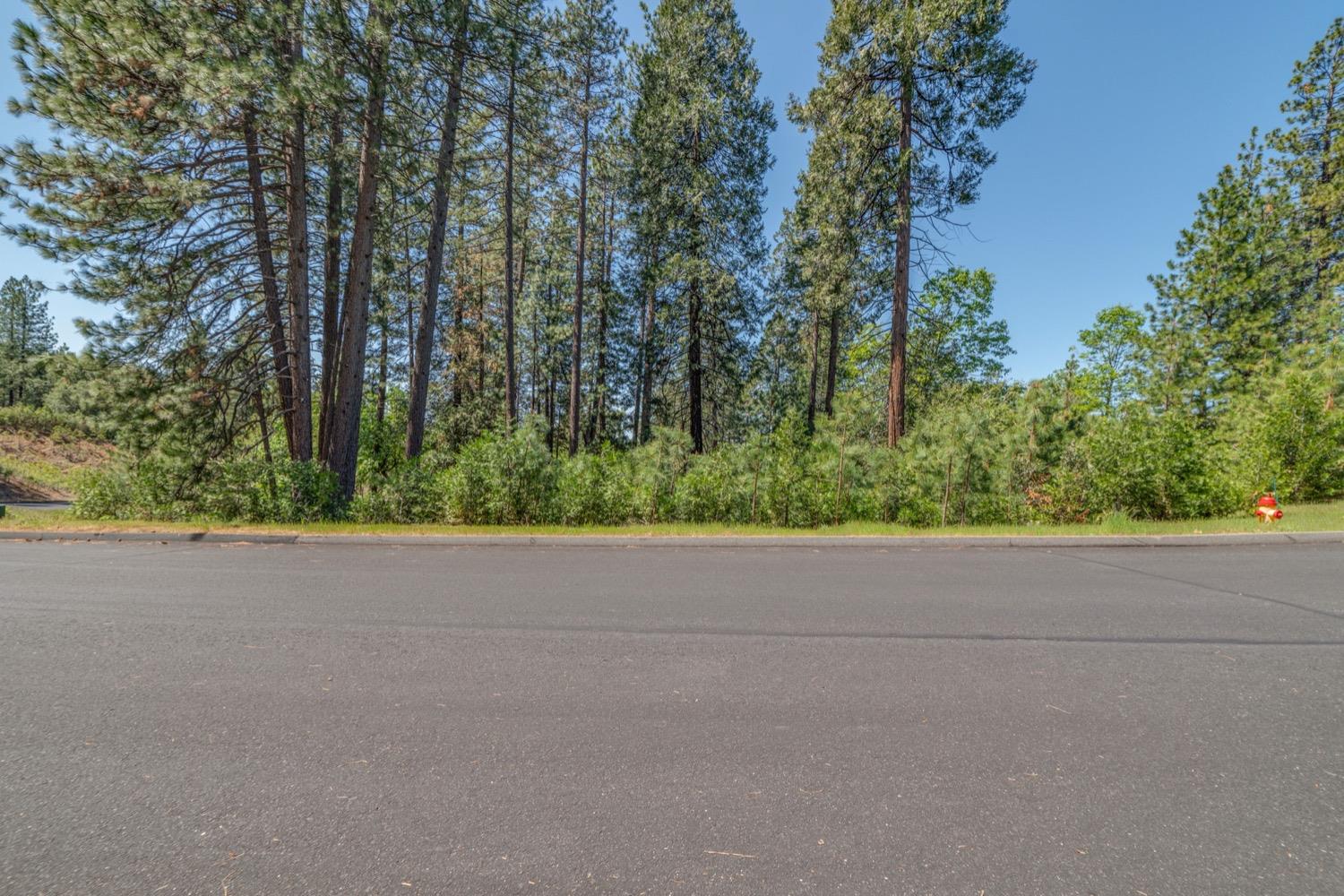 249 Rome Court, Murphys, California 95247, ,Land,For Sale,Rome,202300534