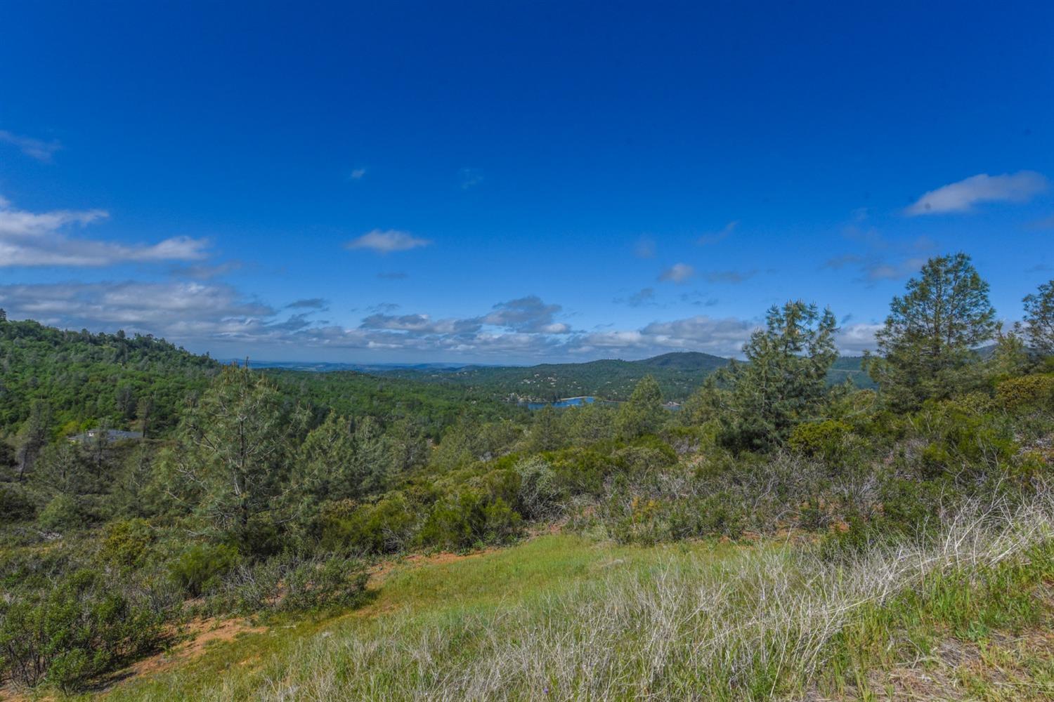 15880 Parkridge Avenue, Sonora, California 95370, ,Land,For Sale,Parkridge,202300537