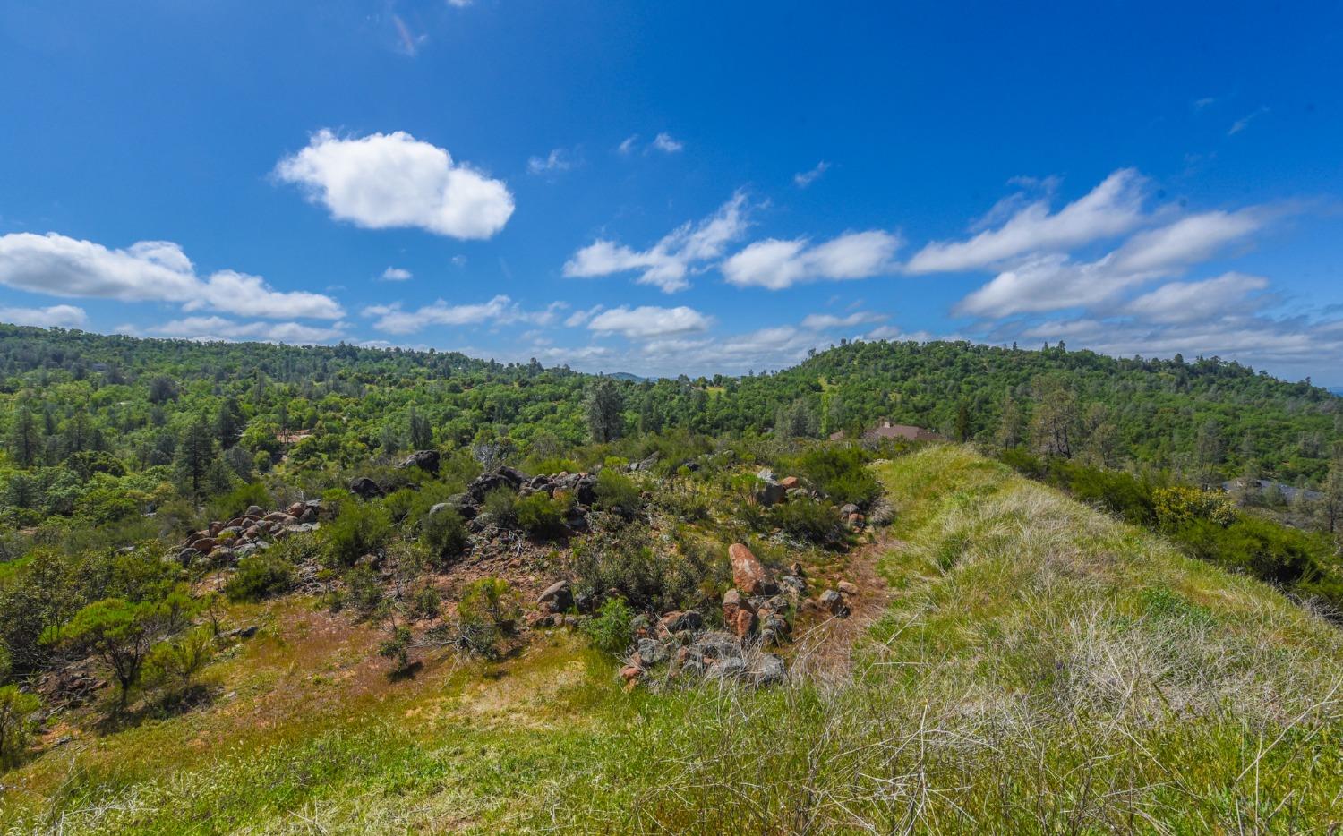 15880 Parkridge Avenue, Sonora, California 95370, ,Land,For Sale,Parkridge,202300537