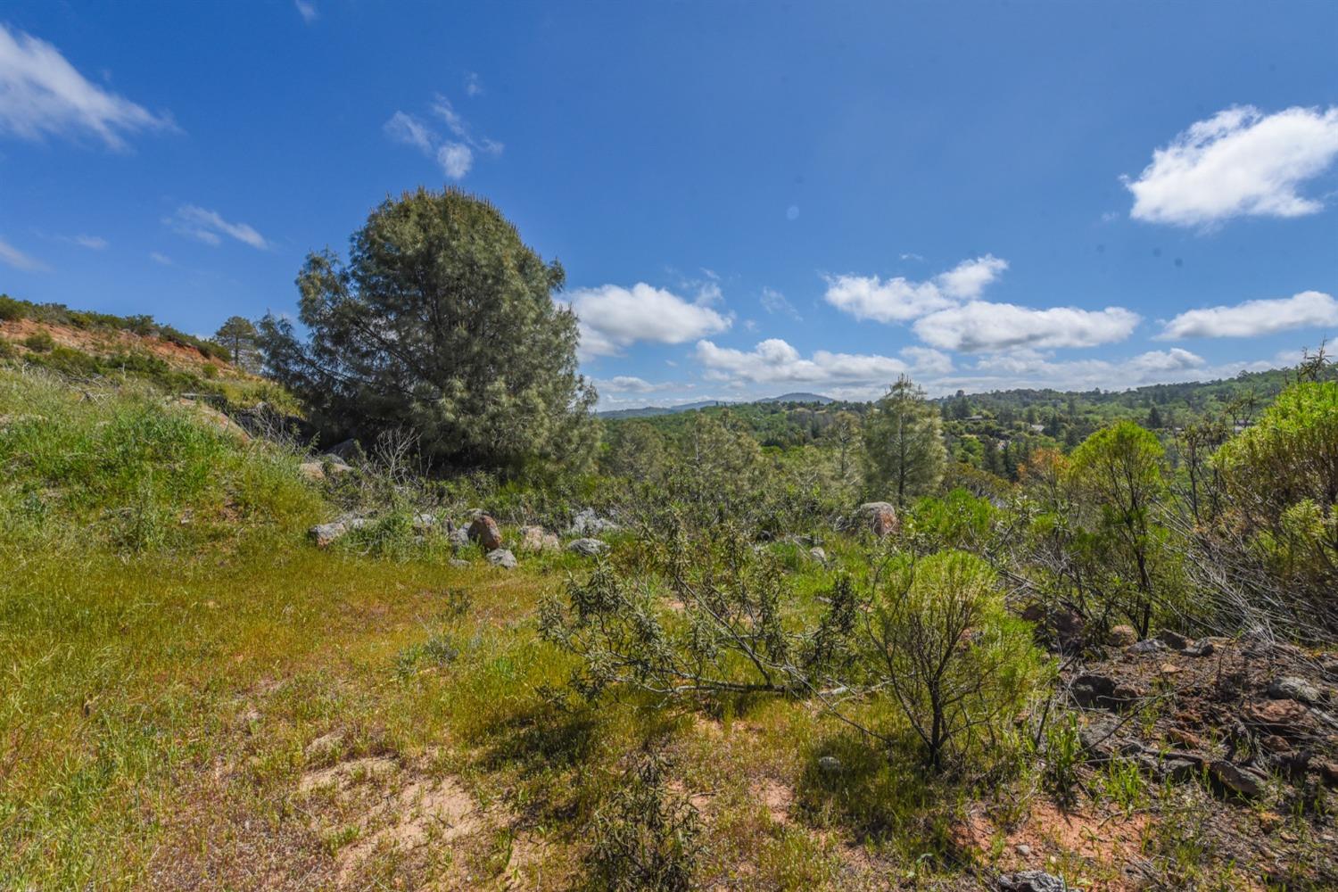 15880 Parkridge Avenue, Sonora, California 95370, ,Land,For Sale,Parkridge,202300537