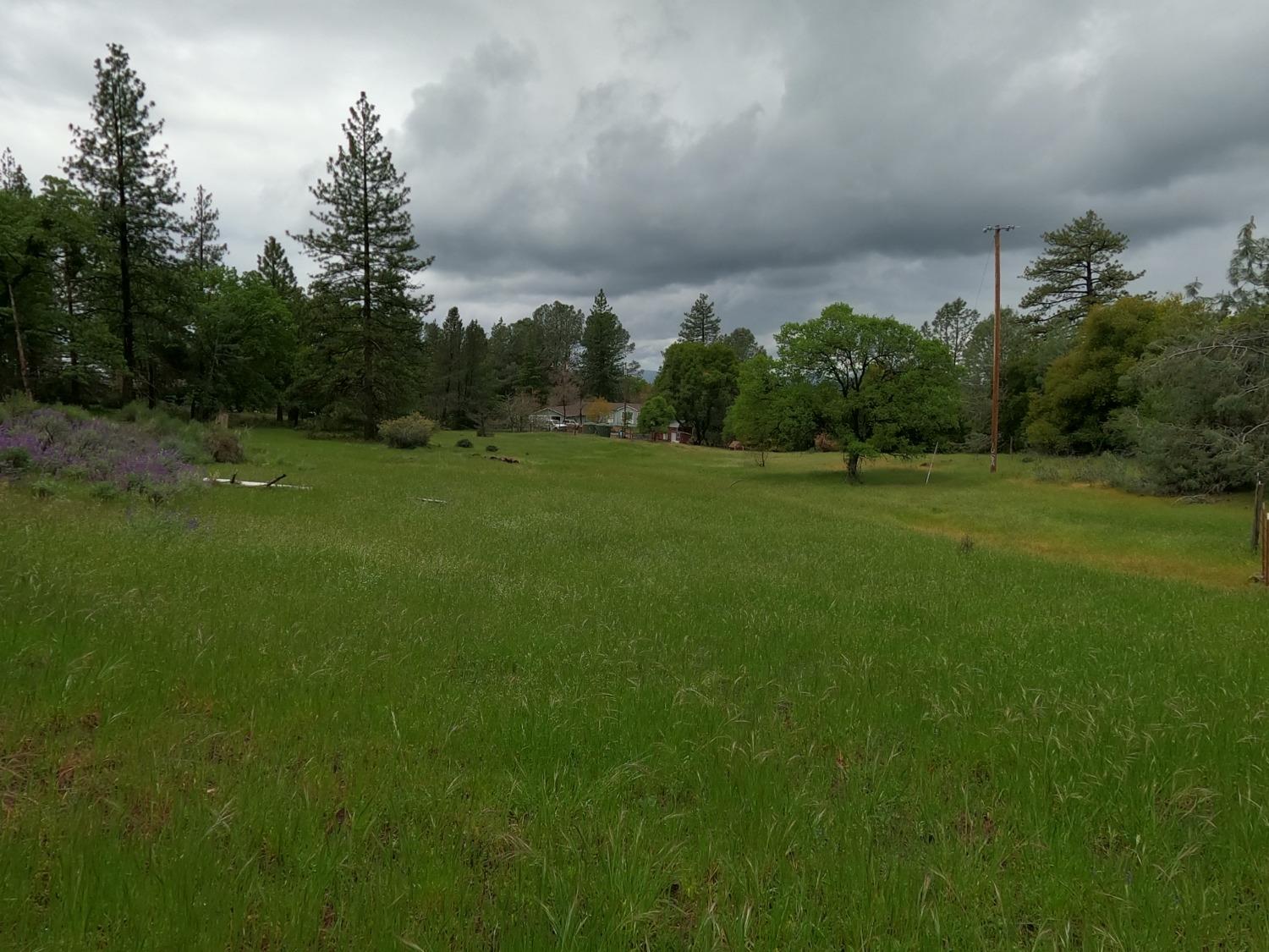 3344 Skunk Ranch Rd, Murphys, California 95247, 3 Bedrooms Bedrooms, ,2 BathroomsBathrooms,Residential,For Sale,Skunk Ranch Rd,202300555