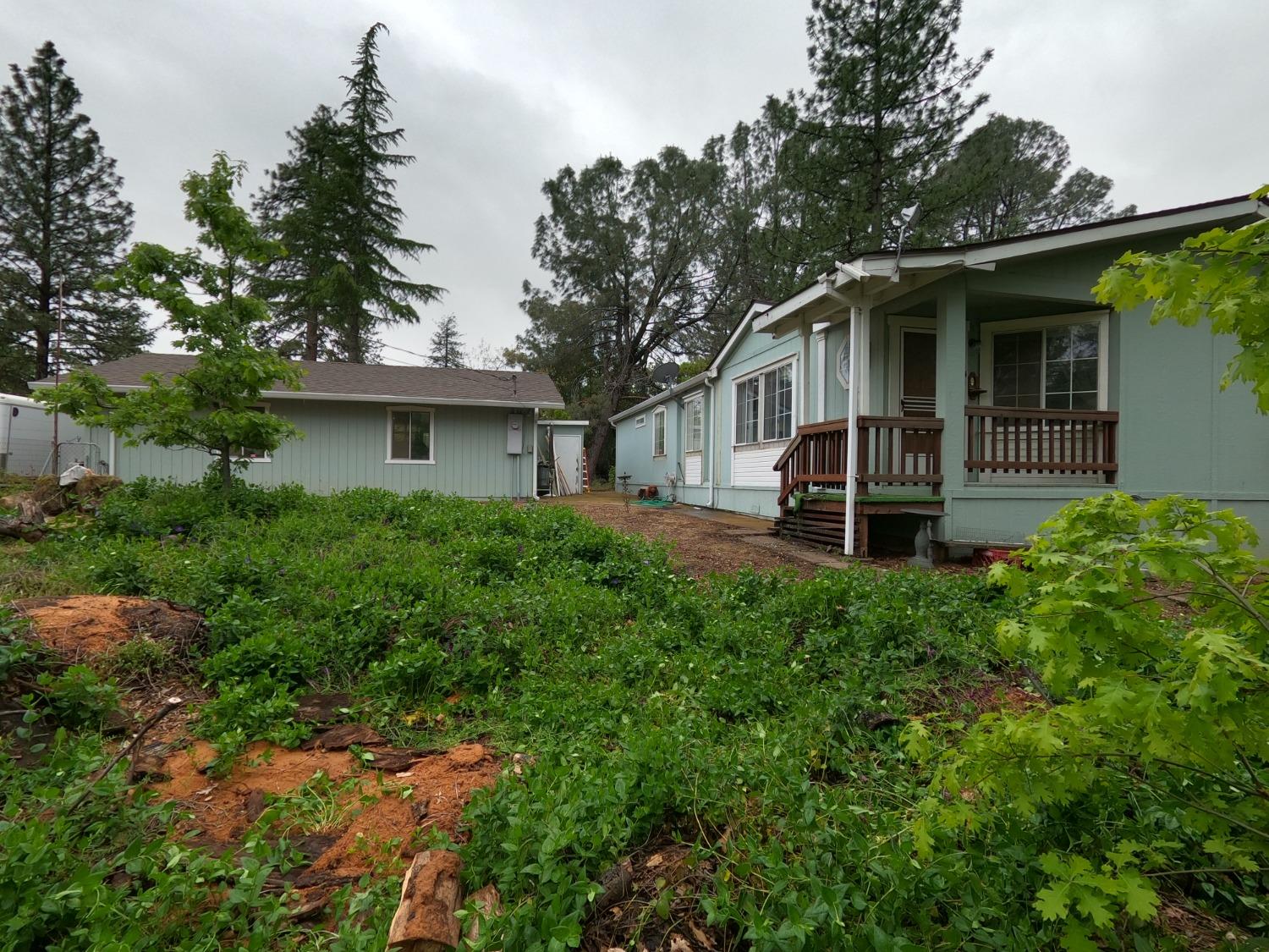 3344 Skunk Ranch Rd, Murphys, California 95247, 3 Bedrooms Bedrooms, ,2 BathroomsBathrooms,Residential,For Sale,Skunk Ranch Rd,202300555