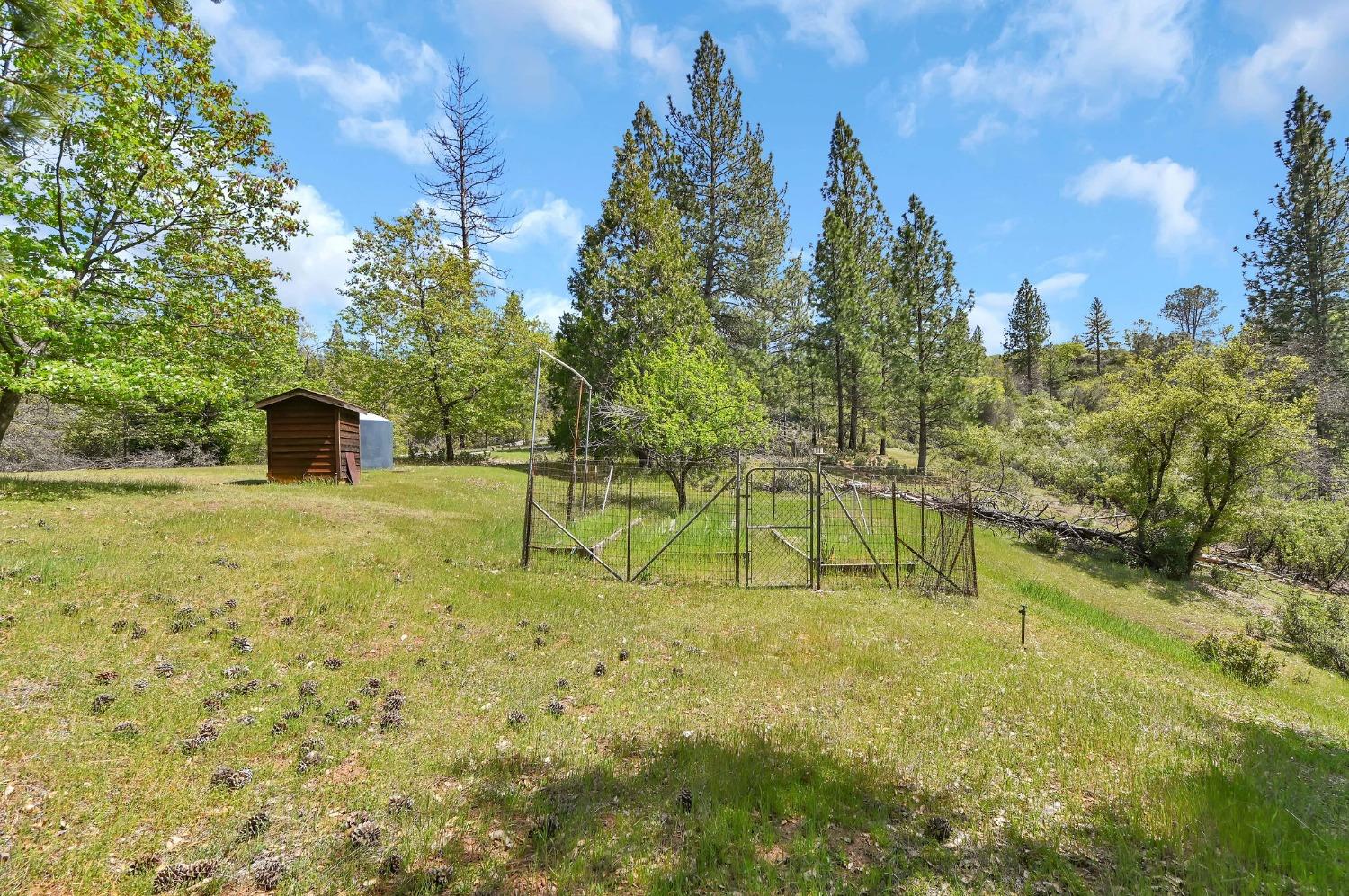 6968 Michel Road, Mountain Ranch, California 95246, ,Land,For Sale,Michel,202300556