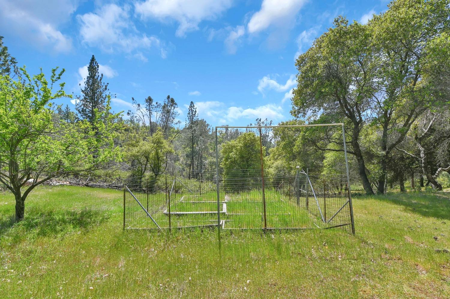 6968 Michel Road, Mountain Ranch, California 95246, ,Land,For Sale,Michel,202300556