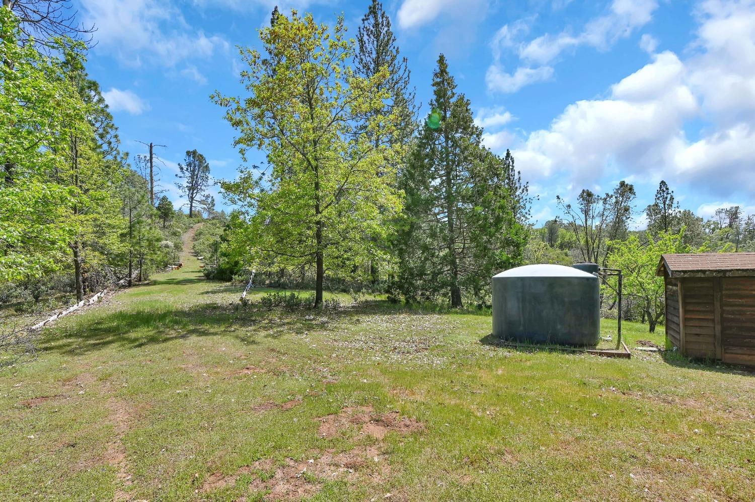 6968 Michel Road, Mountain Ranch, California 95246, ,Land,For Sale,Michel,202300556