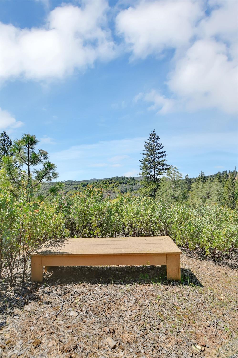 6968 Michel Road, Mountain Ranch, California 95246, ,Land,For Sale,Michel,202300556