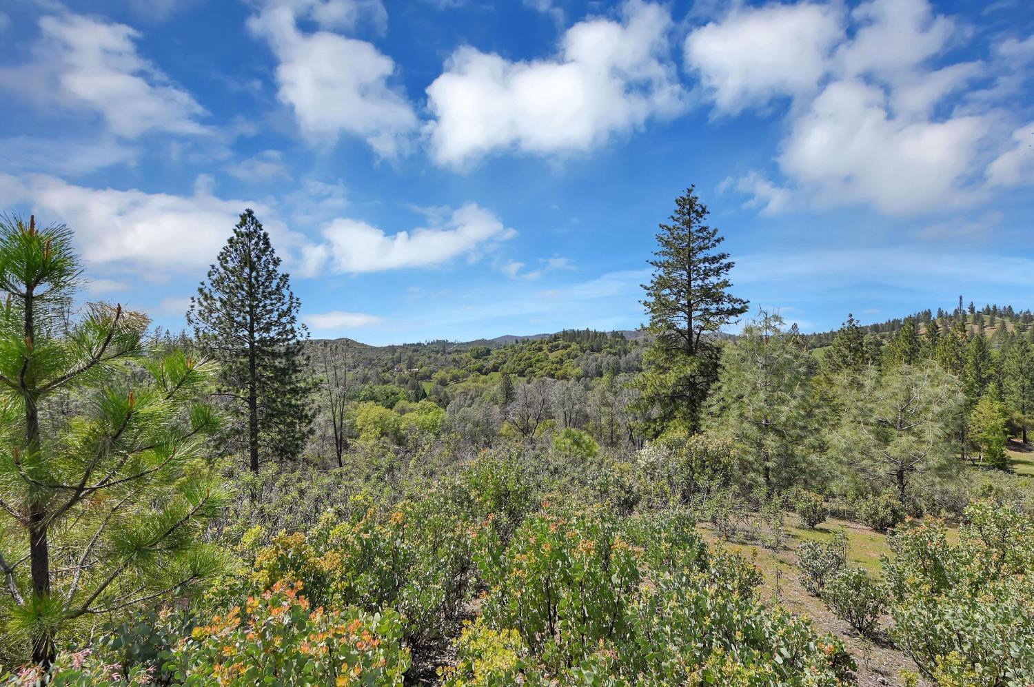 6968 Michel Road, Mountain Ranch, California 95246, ,Land,For Sale,Michel,202300556