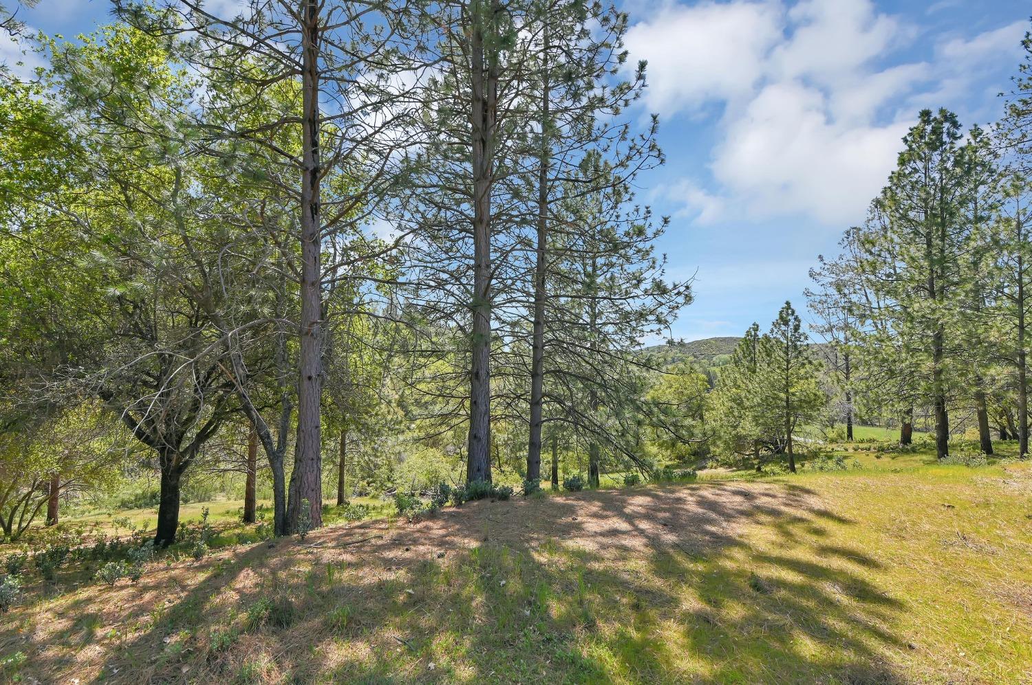 6968 Michel Road, Mountain Ranch, California 95246, ,Land,For Sale,Michel,202300556