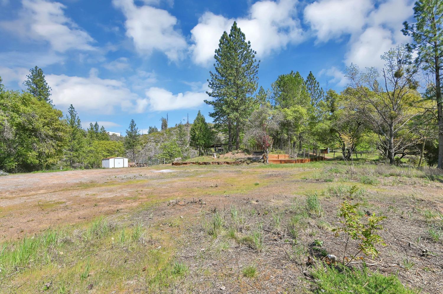 6968 Michel Road, Mountain Ranch, California 95246, ,Land,For Sale,Michel,202300556