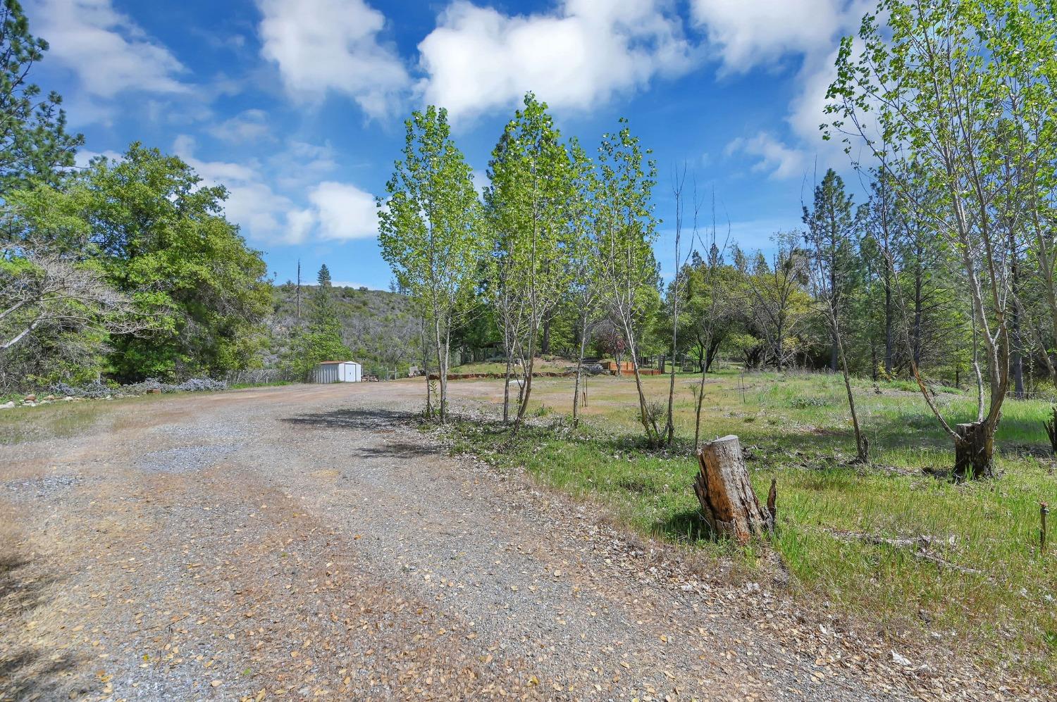 6968 Michel Road, Mountain Ranch, California 95246, ,Land,For Sale,Michel,202300556