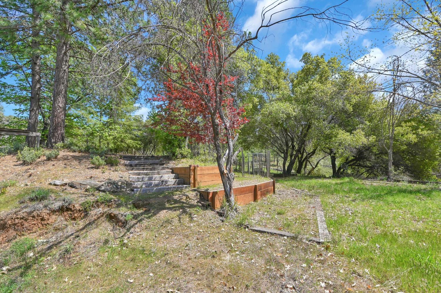 6968 Michel Road, Mountain Ranch, California 95246, ,Land,For Sale,Michel,202300556